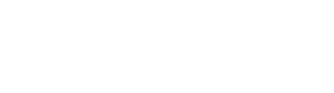 Sri Vasavi College